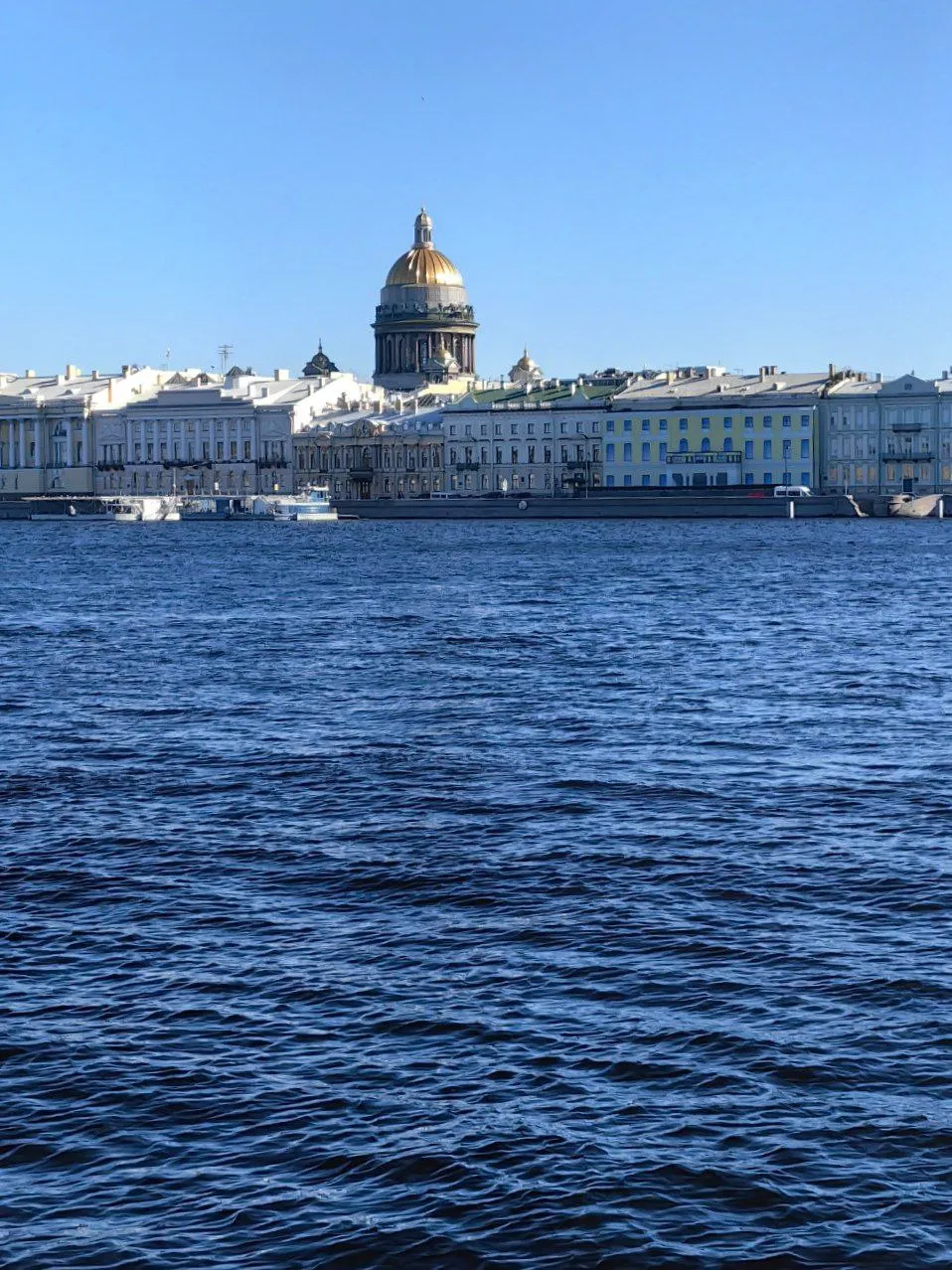 Сфинксы Аменхотепа, грифоны, Петербург