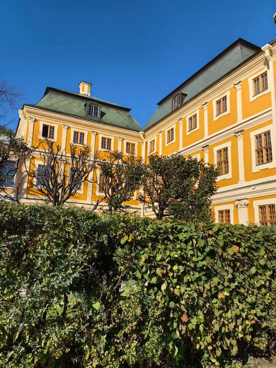 Дворец Меньшикова, Петербург
