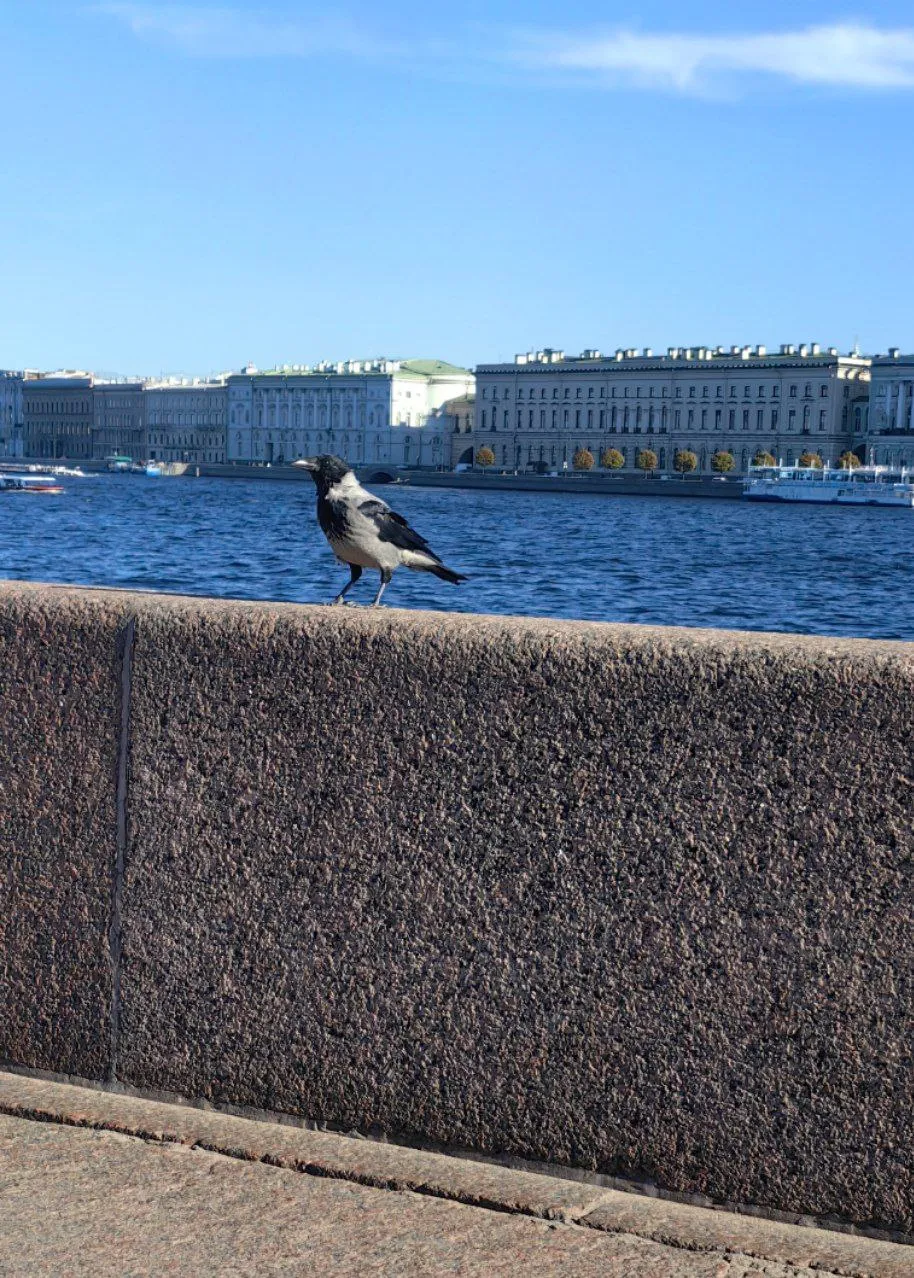 Большое сердце Петербурга