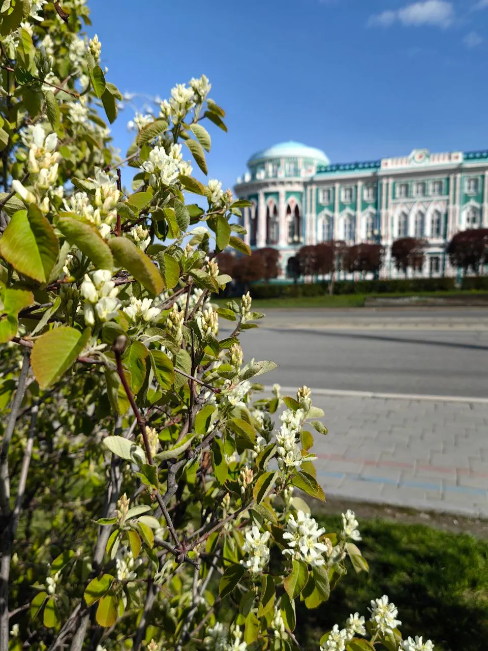 Снег в мае: первомайские снеговики, отключённые батареи и перелётные птицы фото 3