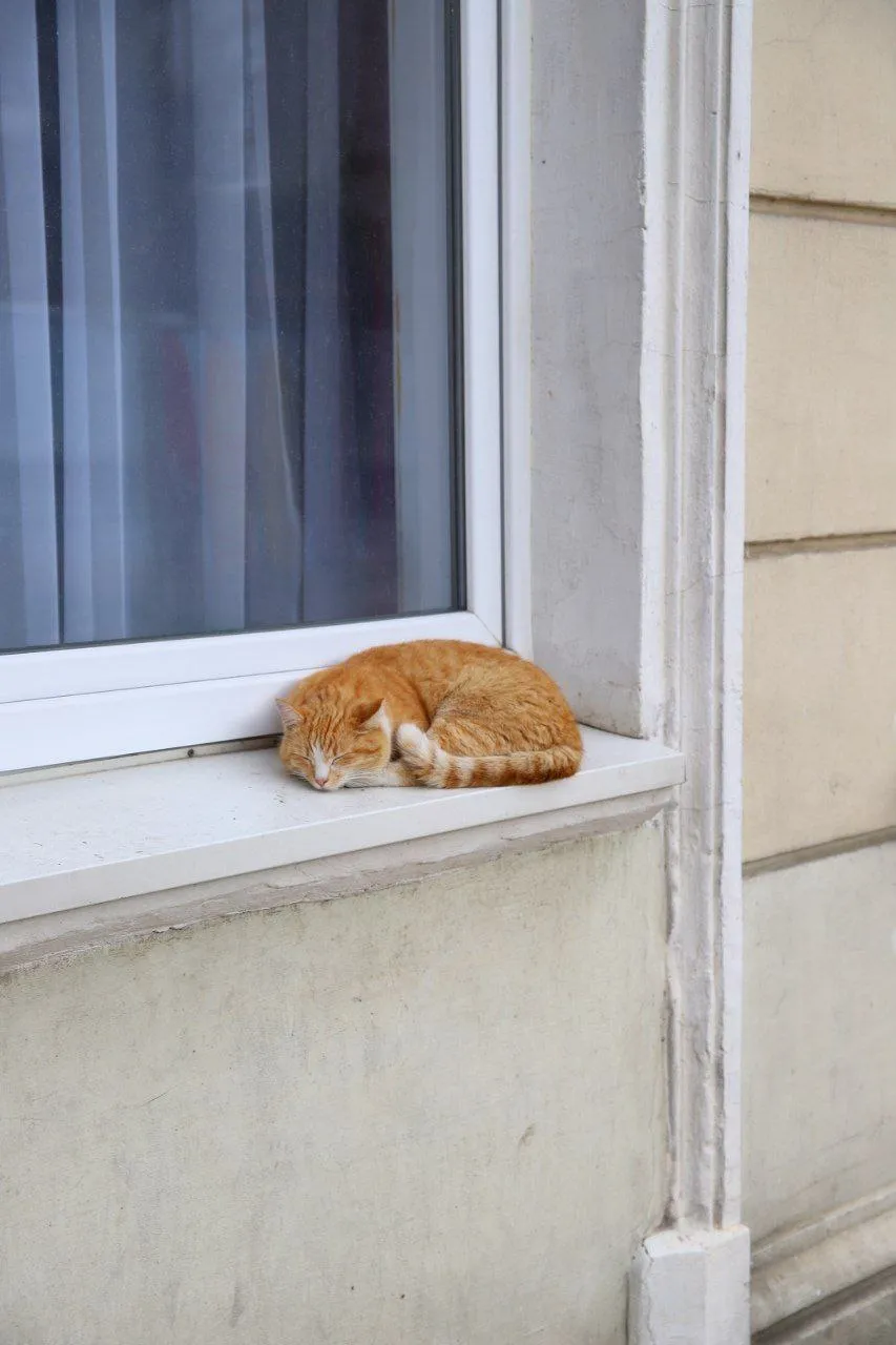 Светлогорск и Венеция: два места, которые не зашли фото 7
