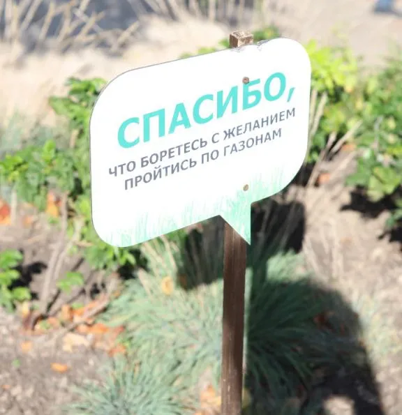 «Ничего не вычёркиваем!»: сырники, отчёт и побег в Калининград фото 8