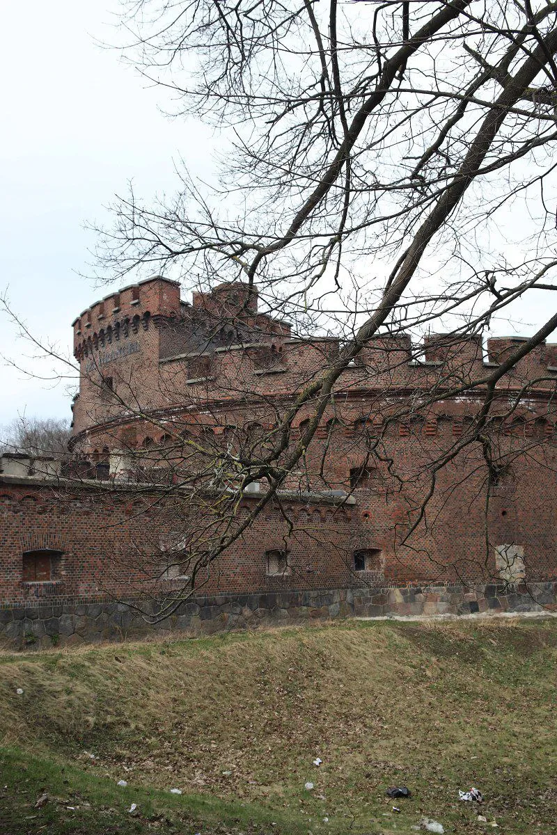 Квест по хомлинам: 9 км по Калининграду без навигатора фото 8