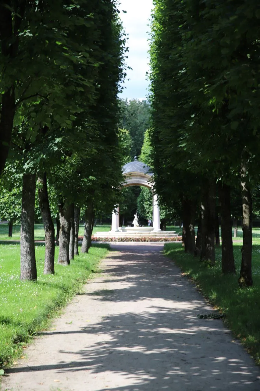 Усадьба Архангельское фото 16