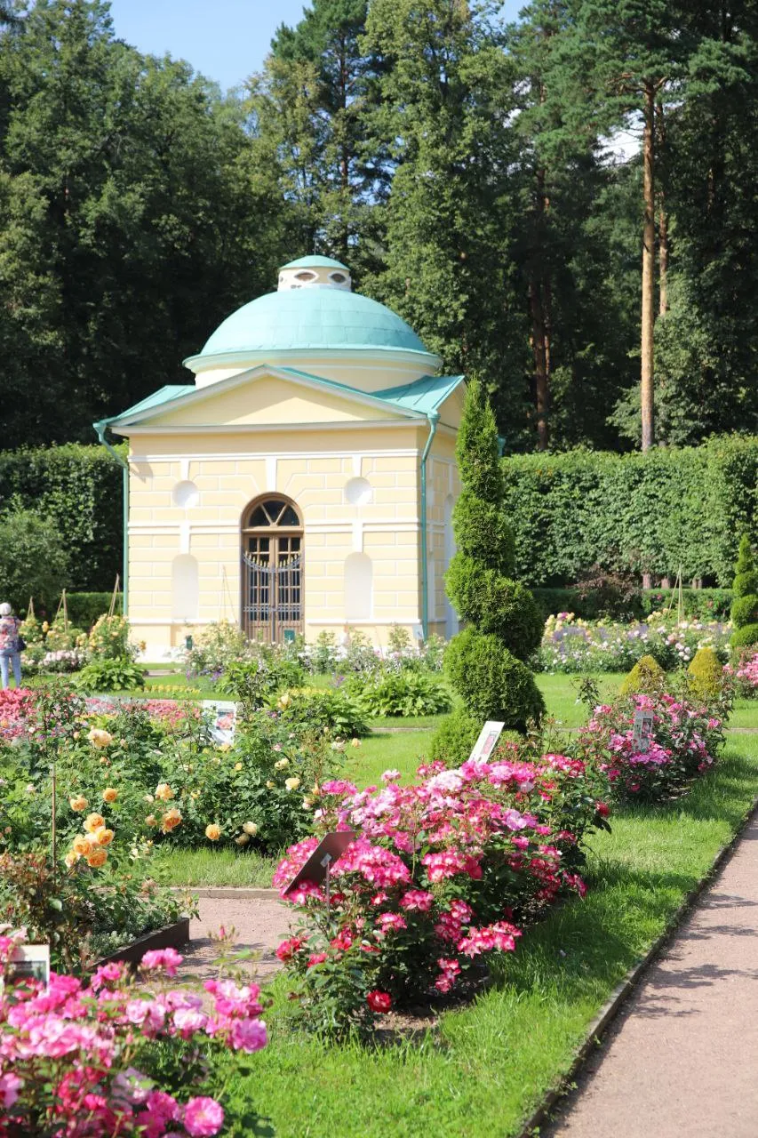 Усадьба Архангельское фото 17