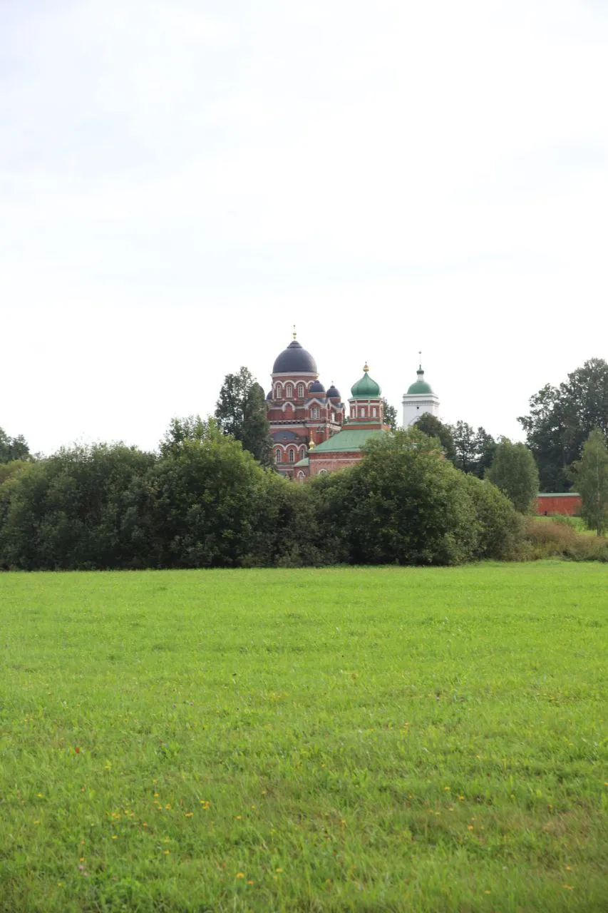 Бородинское поле: как мы случайно попали на реконструкцию 1812 года фото 1