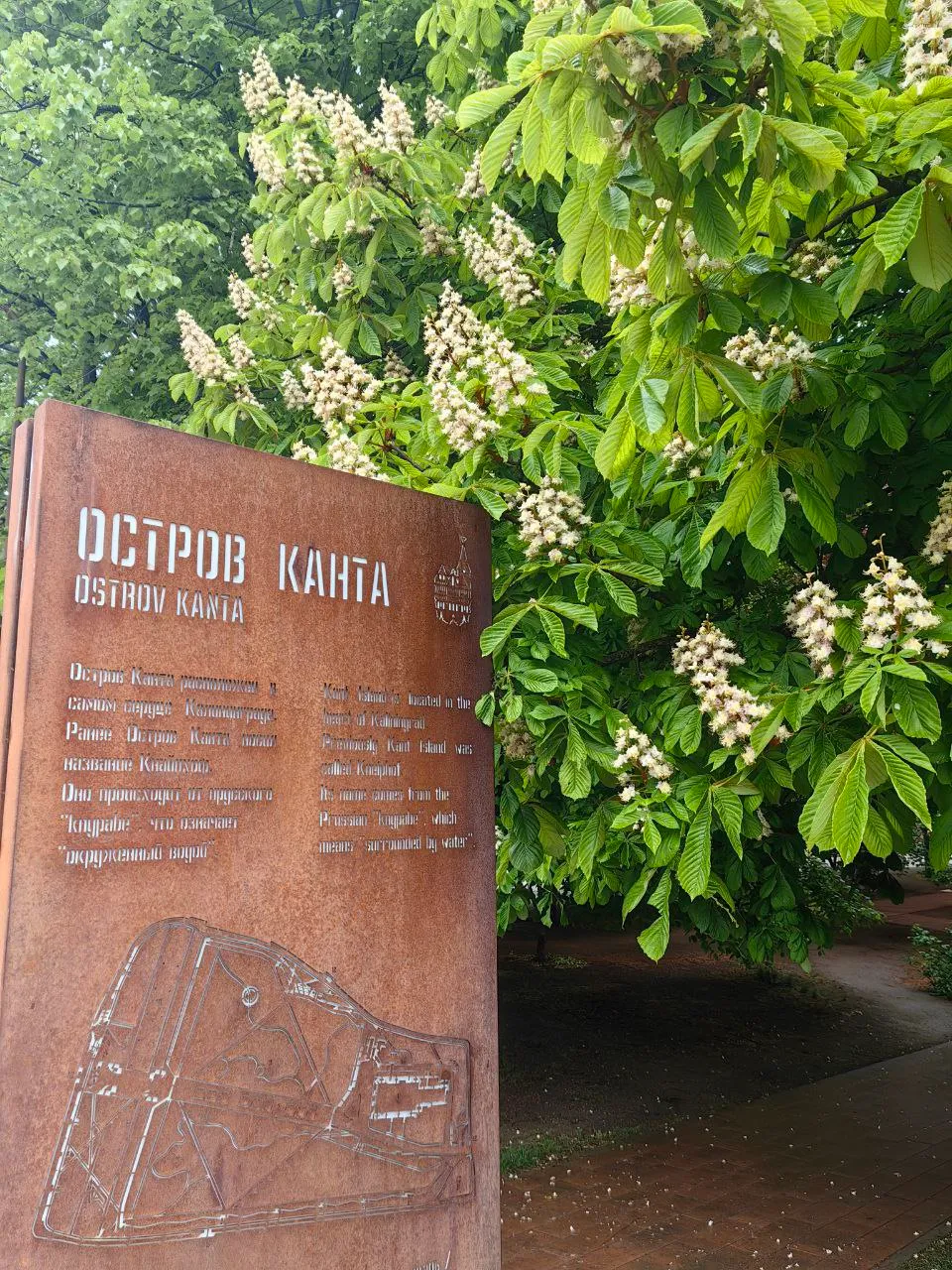 Рыбная деревня и Остров Канта в Калининграде фото 2