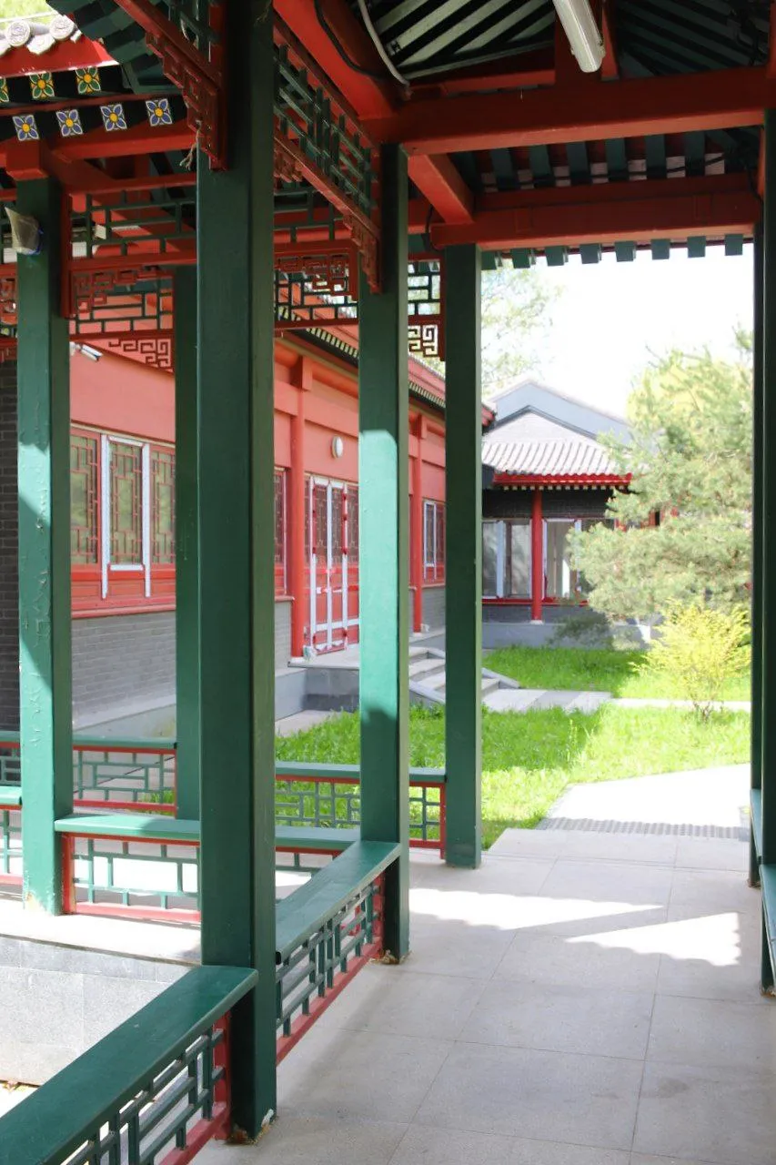 Китайский Новый год в Москве фото 10