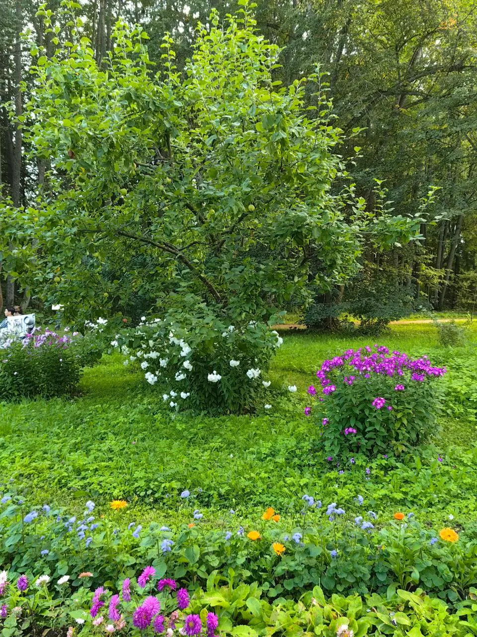 Усадьба Менделеева и Блока фото 13