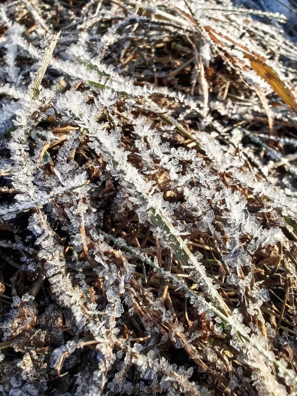 Зимняя деревня и снег фото 1