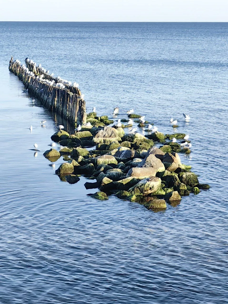 Балтика: море настоящее фото 1
