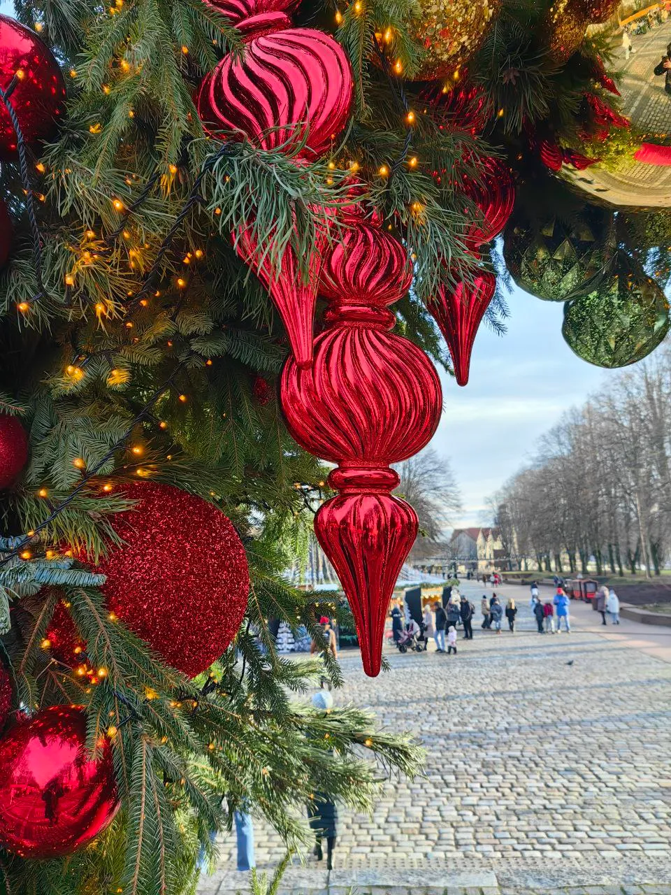 Новогодний Калининград, остров Канта фото 10