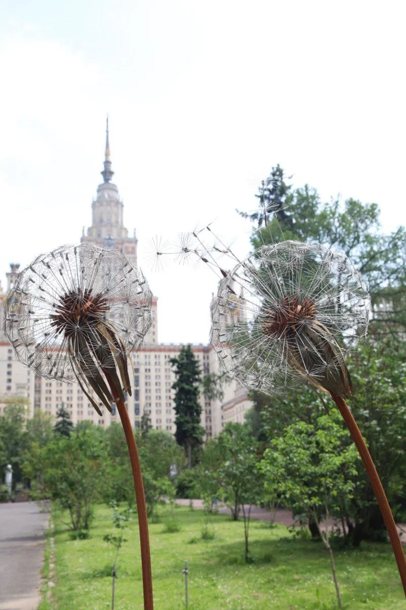 Прогулки по Москве. Ботанический сад МГУ: когда всё цветёт дважды фото 6