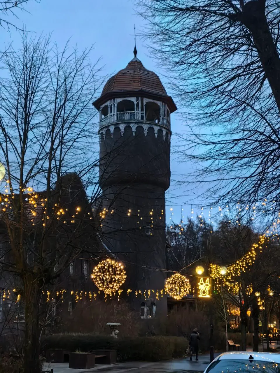 Светлогорск в новогоднем, Хогсмид фото 9