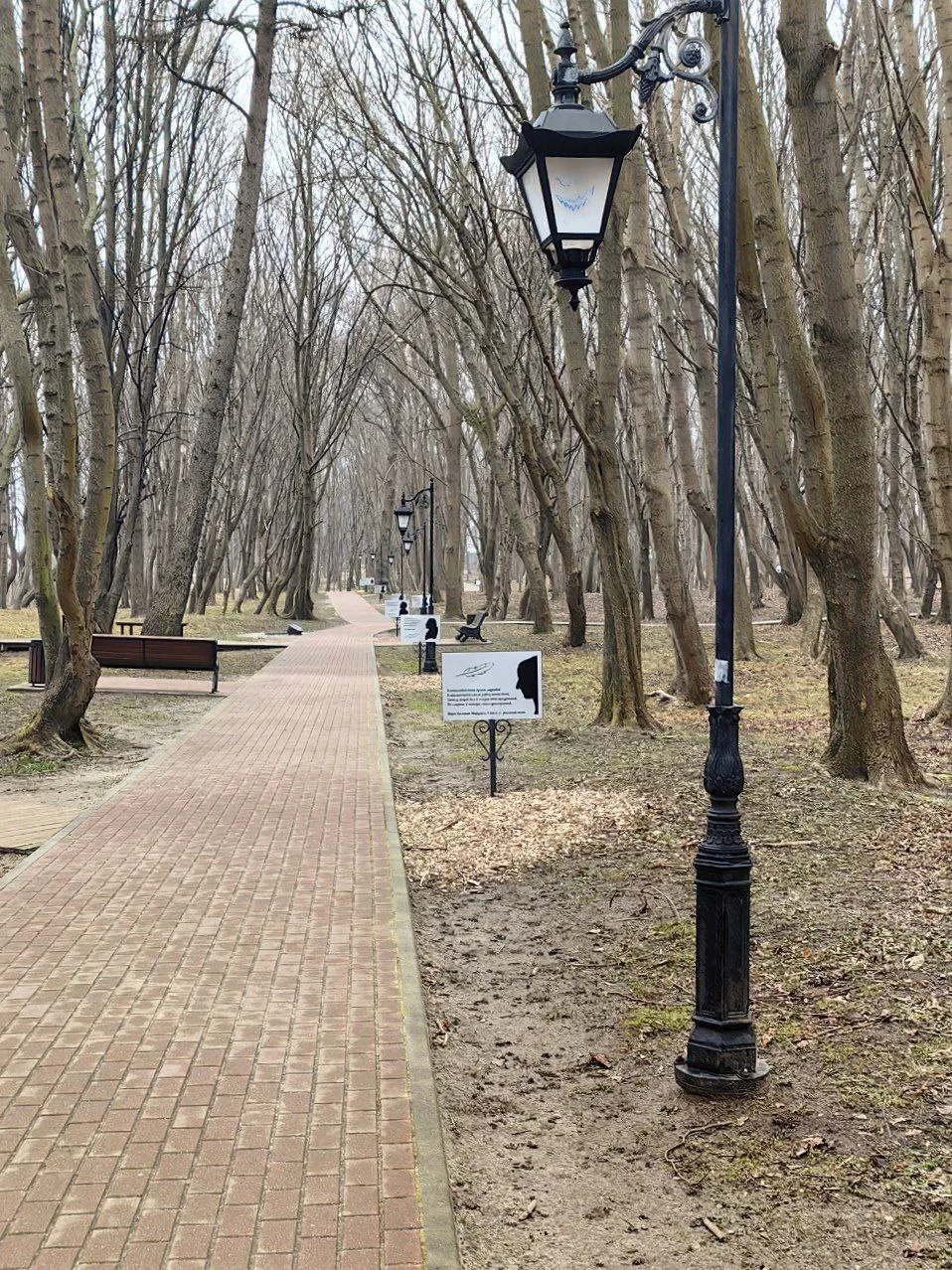 Мориц Беккер, Янтарный фото 3