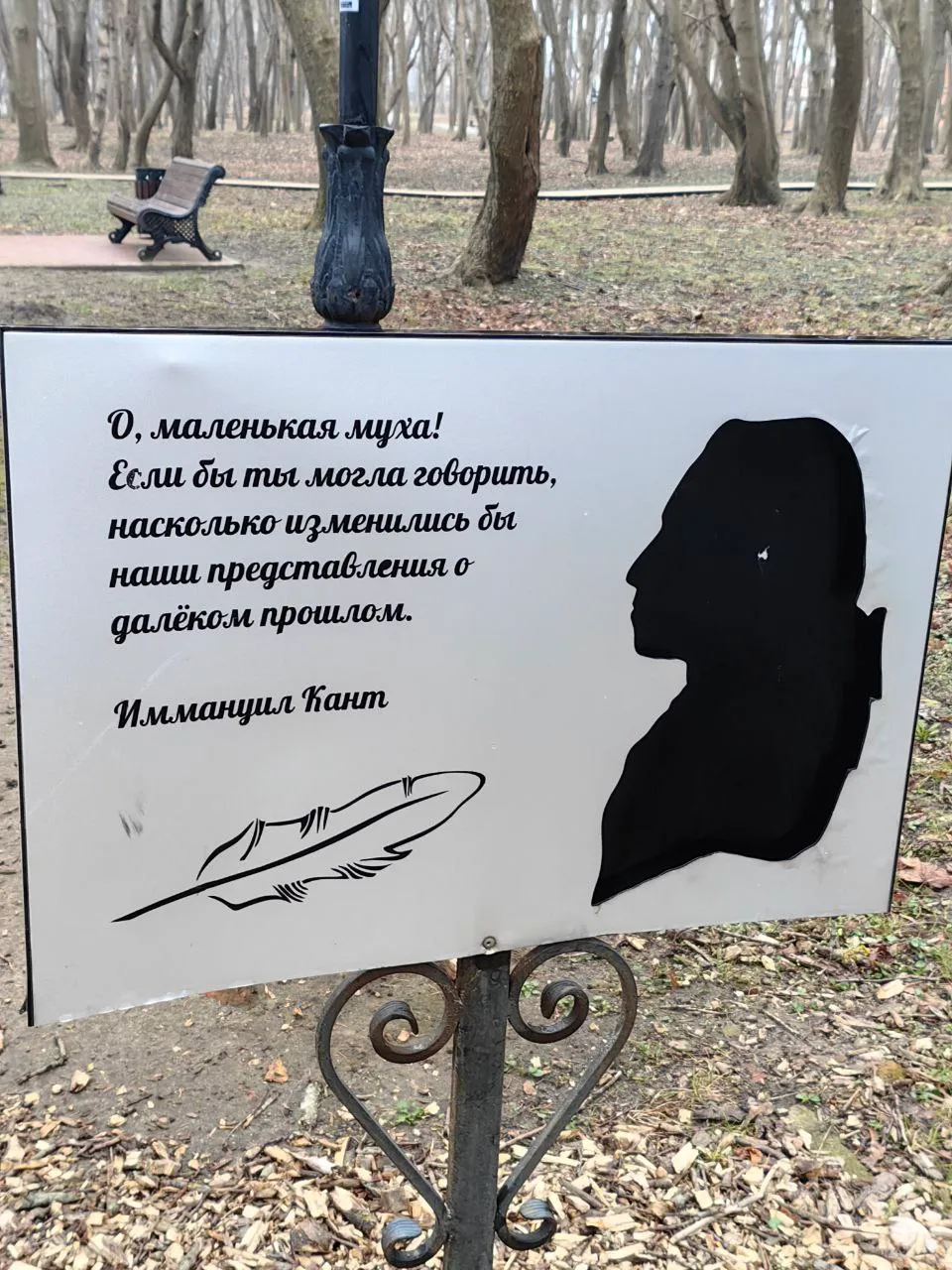 Мориц Беккер, Янтарный фото 4