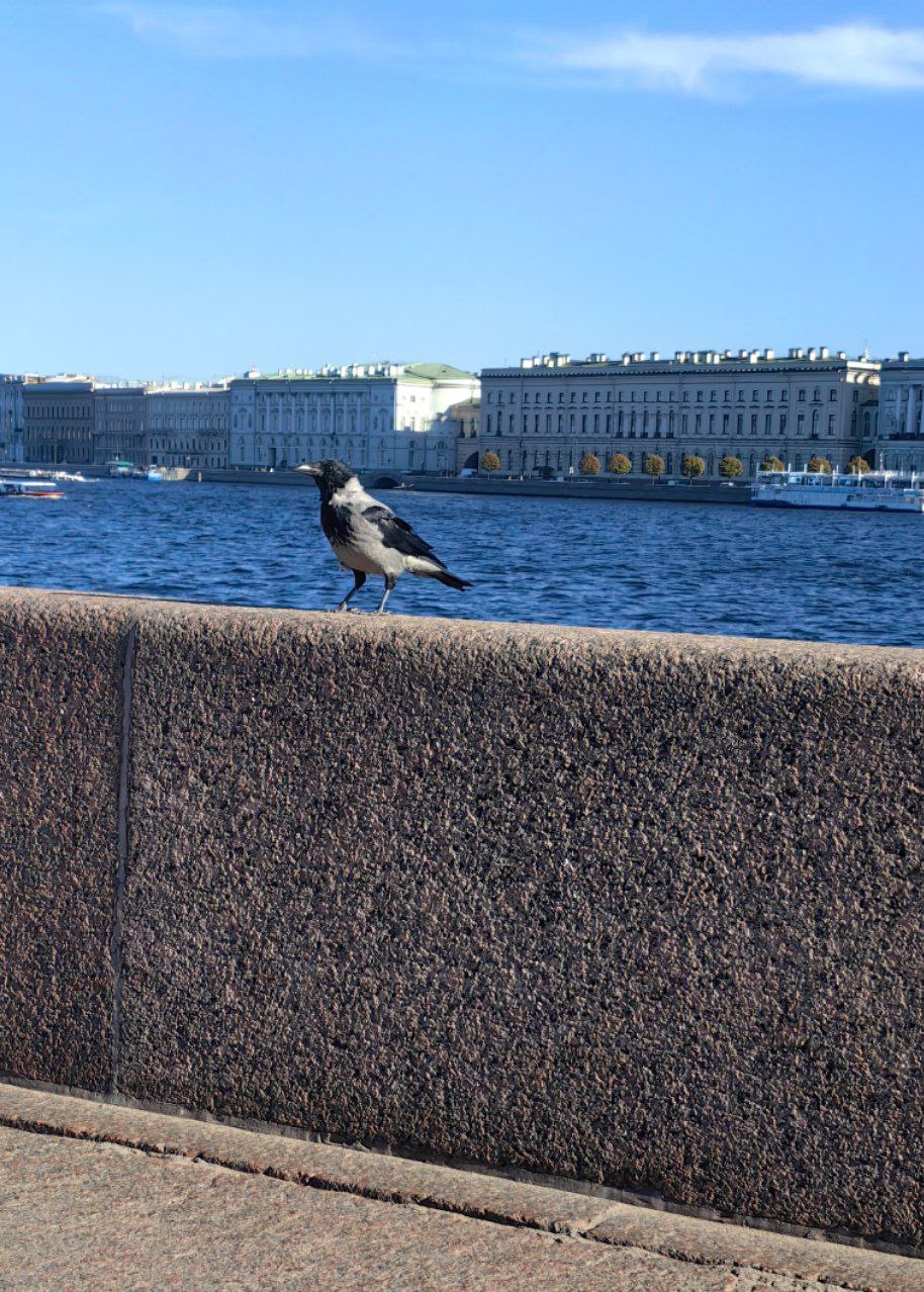 Прогулки по Питеру. Большое сердце Петербурга