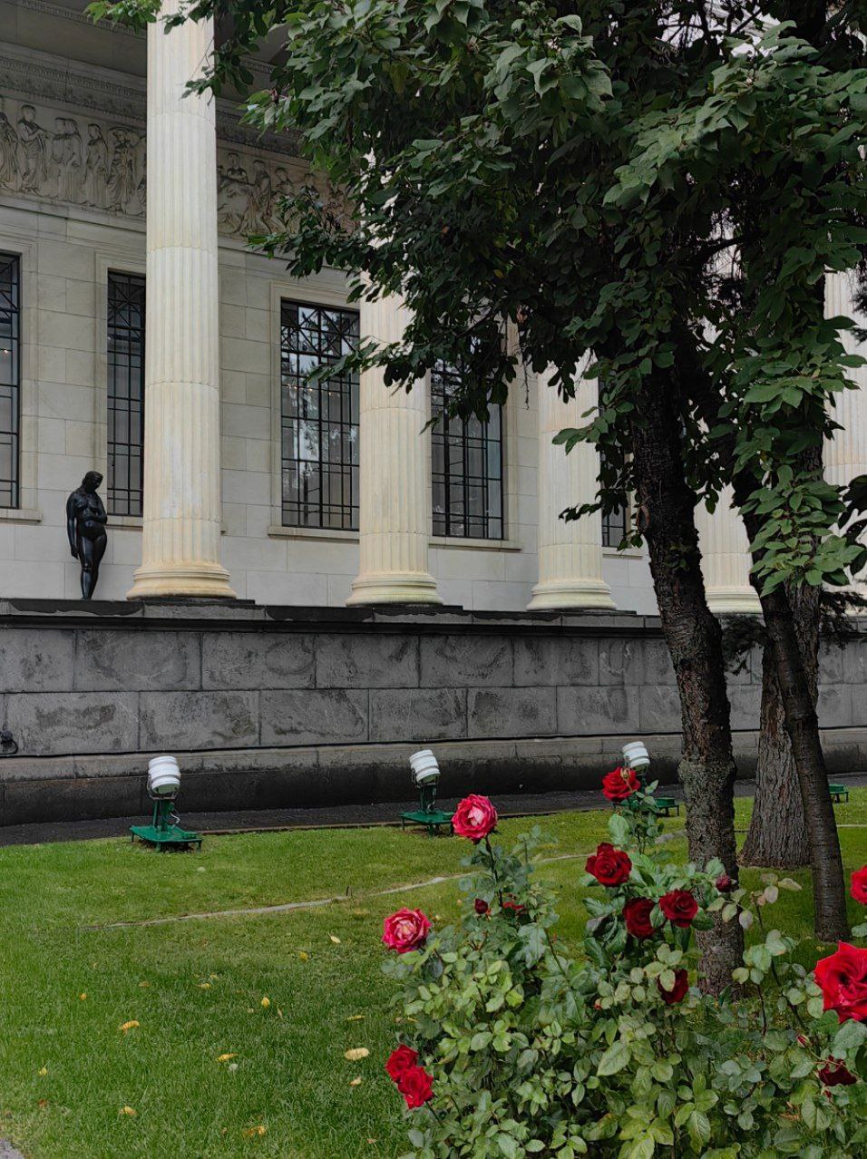 Городские джунгли