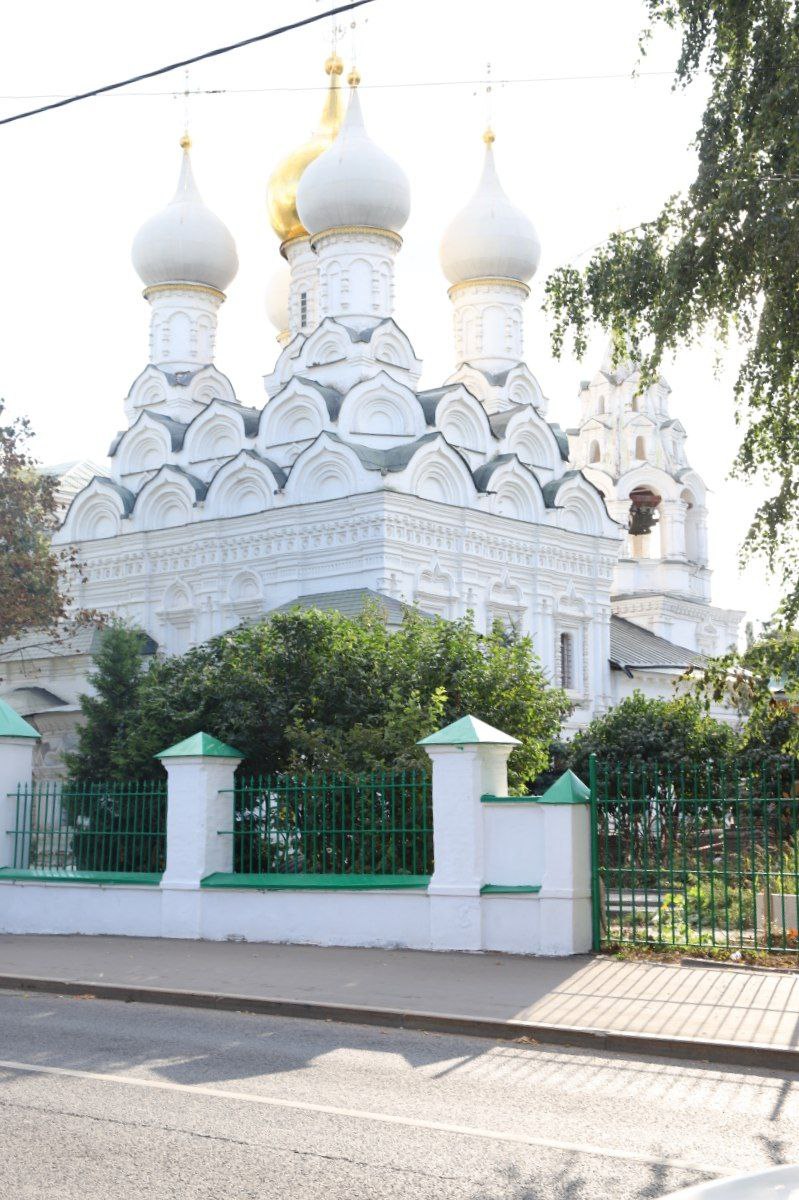 Городские джунгли