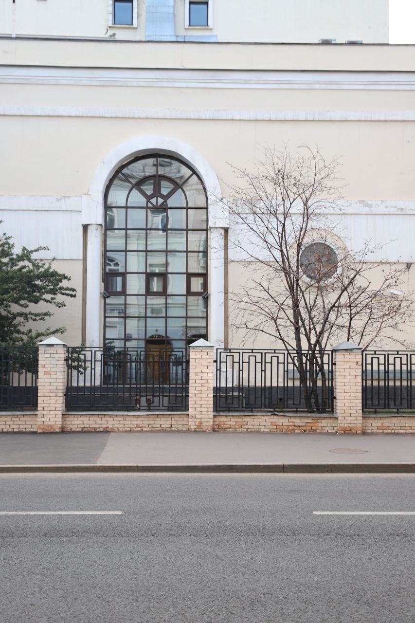 Городские джунгли