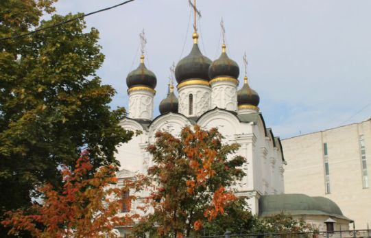 Городские джунгли