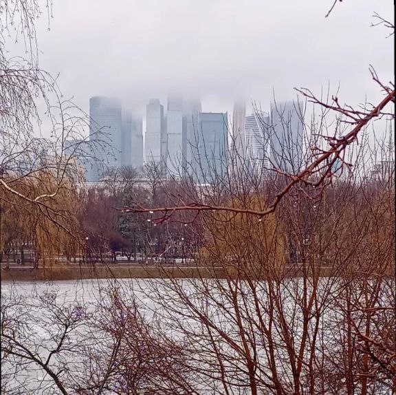 Городские джунгли