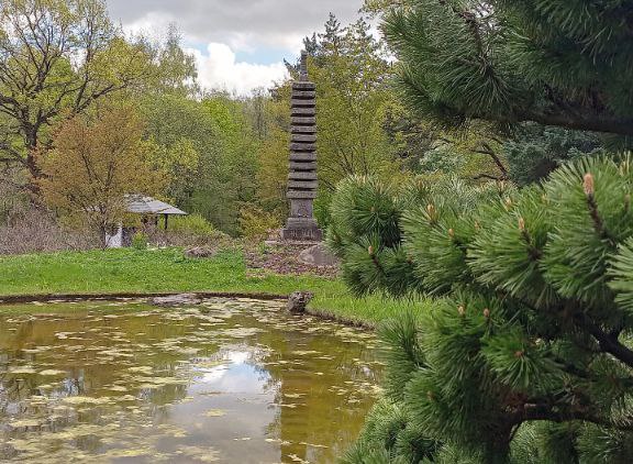Городские джунгли