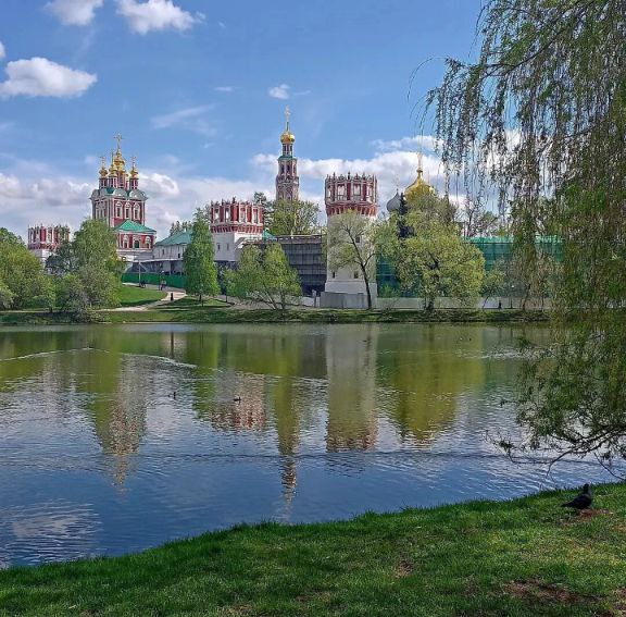 Городские джунгли
