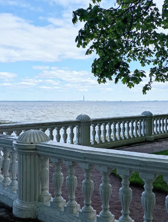 Городские джунгли