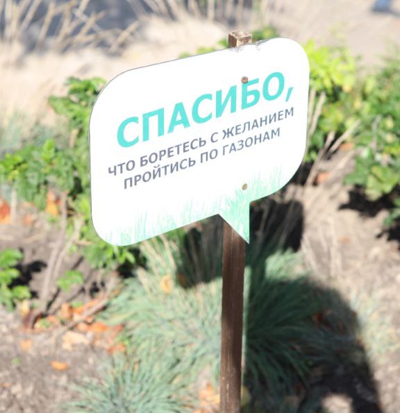 Море