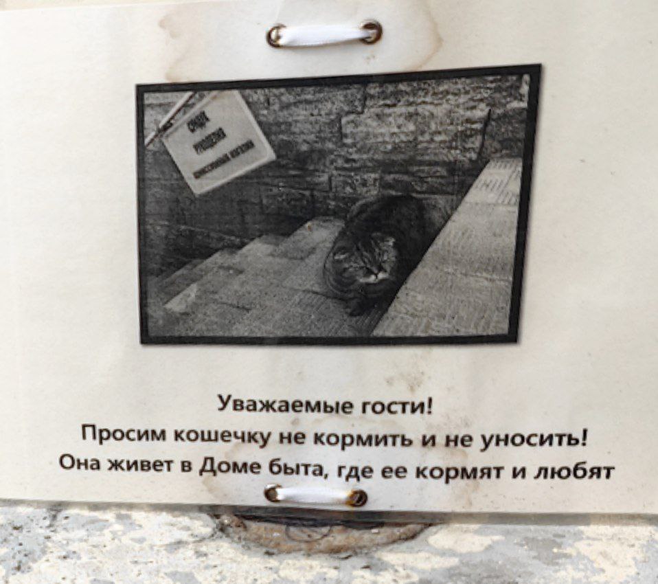 Прогулки по Питеру. Когда деревья были большими