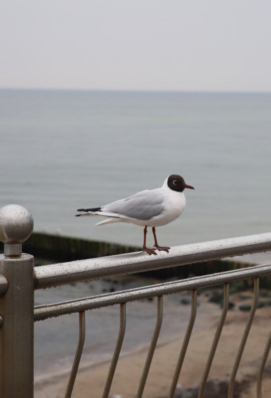 Море