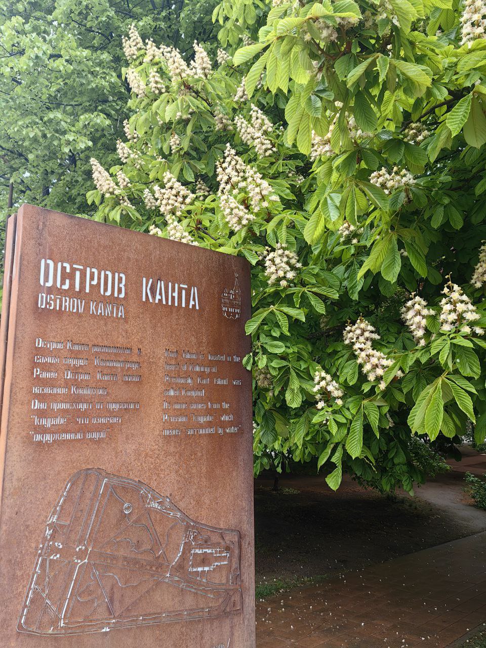 Рыбная деревня и Остров Канта: честное слово, я уезжала