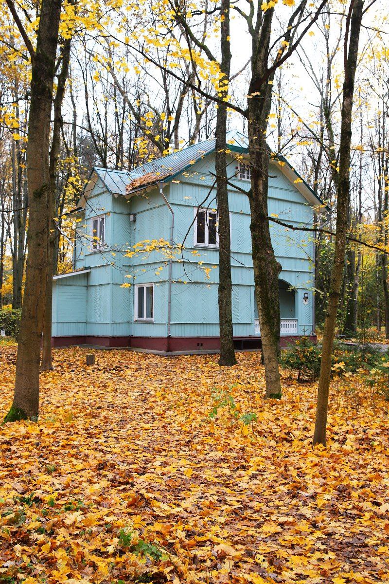 Переделкино: городок писателей и дым листвы