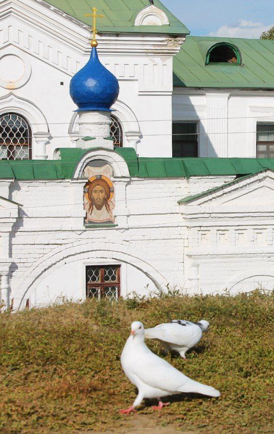 Рязань: Кремль, Трубежная набережная и золотой час у пристани