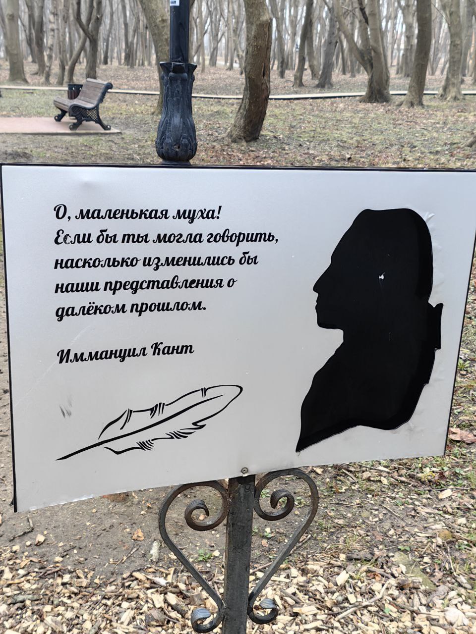 Мориц Беккер: янтарный король Пальмникена и парк в Янтарном