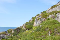IMG_6170-scaled