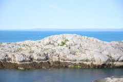 IMG_6196-scaled