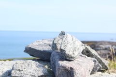 IMG_6212-scaled