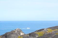 IMG_6233-scaled