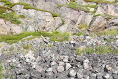 IMG_6266-scaled