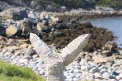 IMG_6285-scaled