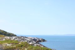 IMG_6304-scaled