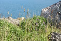 IMG_6329-scaled
