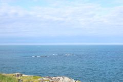 IMG_6335-scaled