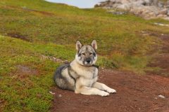 IMG_6393-scaled