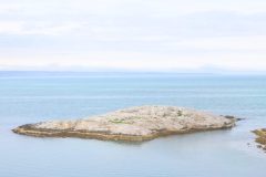 IMG_6420-scaled