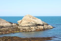 IMG_6479-scaled